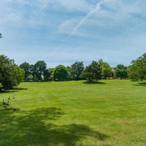 Lawn