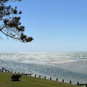 Photo #11 of 5770 PEACEFUL WAY, JAMESVILLE, VA 5.6 acres