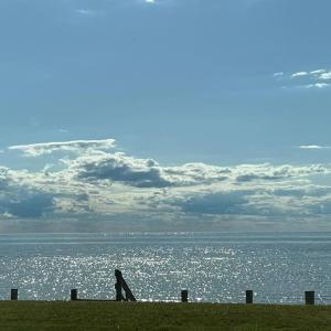 Photo #56 of 5770 PEACEFUL WAY, JAMESVILLE, VA 5.6 acres