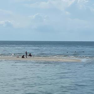 Photo #57 of 5770 PEACEFUL WAY, JAMESVILLE, VA 5.6 acres