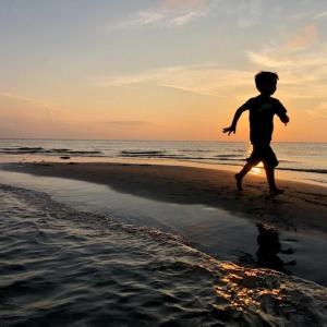 Photo #59 of 5770 PEACEFUL WAY, JAMESVILLE, VA 5.6 acres