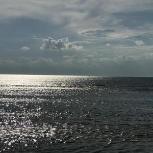 Photo #61 of 5770 PEACEFUL WAY, JAMESVILLE, VA 5.6 acres