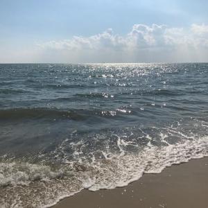 Photo #62 of 5770 PEACEFUL WAY, JAMESVILLE, VA 5.6 acres