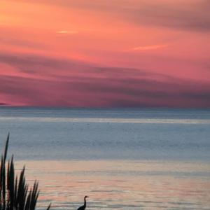 Photo #64 of 5770 PEACEFUL WAY, JAMESVILLE, VA 5.6 acres