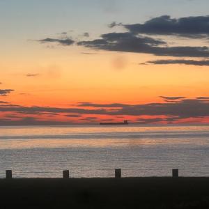 Photo #69 of 5770 PEACEFUL WAY, JAMESVILLE, VA 5.6 acres