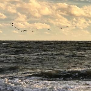 Photo #74 of 5770 PEACEFUL WAY, JAMESVILLE, VA 5.6 acres