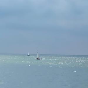 Photo #8 of 5770 PEACEFUL WAY, JAMESVILLE, VA 5.6 acres