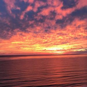 Photo #13 of 5770 PEACEFUL WAY, JAMESVILLE, VA 5.6 acres