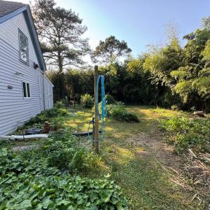 Photo #32 of 29194 MAIN ST, MELFA, VA 0.6 acres
