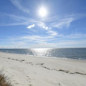 Photo #4 of 2118 BAYVIEW POINT LN, CAPE CHARLES, VA 4.5 acres