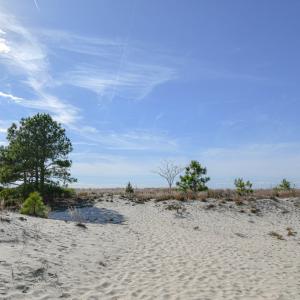 Photo #50 of 2118 BAYVIEW POINT LN, CAPE CHARLES, VA 4.5 acres