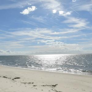 Photo #51 of 2118 BAYVIEW POINT LN, CAPE CHARLES, VA 4.5 acres