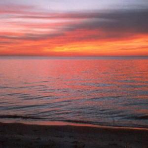 Photo #58 of 2118 BAYVIEW POINT LN, CAPE CHARLES, VA 4.5 acres