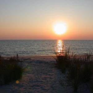 Photo #59 of 2118 BAYVIEW POINT LN, CAPE CHARLES, VA 4.5 acres