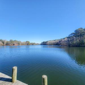 Photo #61 of 2118 BAYVIEW POINT LN, CAPE CHARLES, VA 4.5 acres
