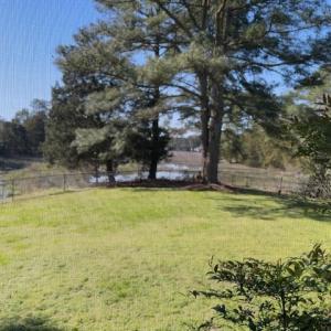 Photo #10 of 24385 DIX FARM DR, ACCOMAC, VA 3.3 acres