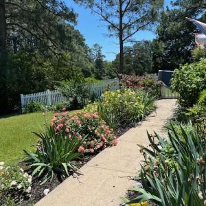 Photo #11 of 24385 DIX FARM DR, ACCOMAC, VA 3.3 acres