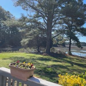 Photo #7 of 24385 DIX FARM DR, ACCOMAC, VA 3.3 acres