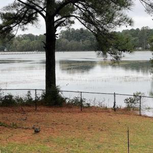 Photo #9 of 24385 DIX FARM DR, ACCOMAC, VA 3.3 acres