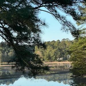 Photo #6 of 24385 DIX FARM DR, ACCOMAC, VA 3.3 acres