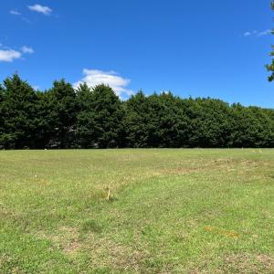 Photo #32 of 22199 VERLINDA LNDG SOUTH, CAPE CHARLES, VA 0.6 acres