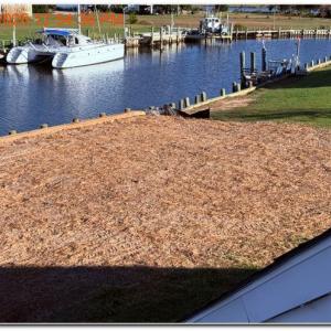 Photo #6 of 20270 CANVASBACK LN, ONANCOCK, VA 0.6 acres