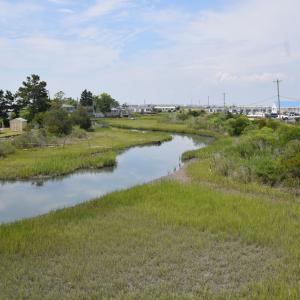 Photo #13 of 2522 MAIN ST, CHINCOTEAGUE, VA 0.2 acres