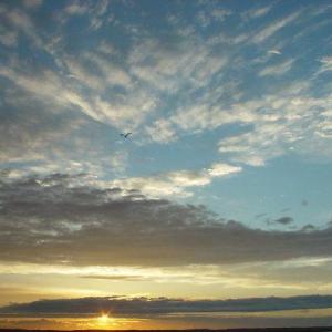 Photo #68 of 2522 MAIN ST, CHINCOTEAGUE, VA 0.2 acres
