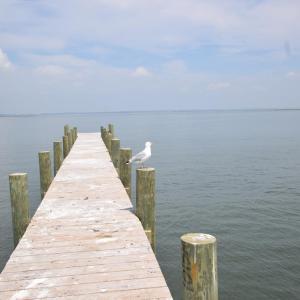 Photo #70 of 2522 MAIN ST, CHINCOTEAGUE, VA 0.2 acres