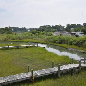 Photo #12 of 2522 MAIN ST, CHINCOTEAGUE, VA 0.2 acres