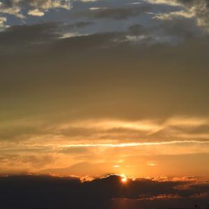 Photo #62 of 2522 MAIN ST, CHINCOTEAGUE, VA 0.2 acres