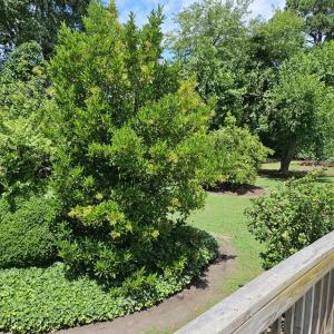 Private parklike rear and side yard.