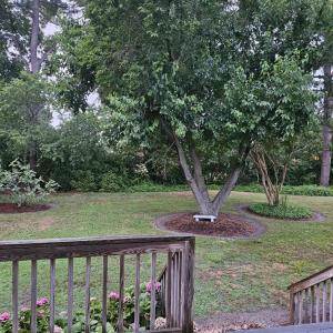 Private backyard from both bedrooms