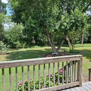 Rear yard and deck from bedrooms