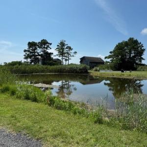 Photo #67 of 5504 AMRIEN DR, CHINCOTEAGUE, VA 0.3 acres