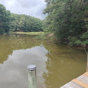 Photo #2 of 7086 LONG POINT RD, EXMORE, VA 8.5 acres
