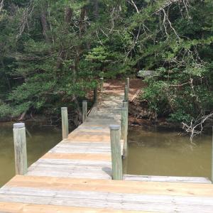 Dock, facing back towards the home