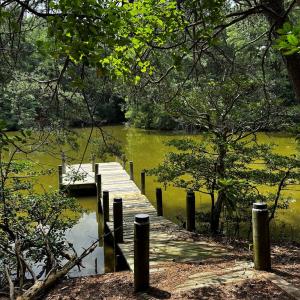 Photo #38 of 7086 LONG POINT RD, EXMORE, VA 8.5 acres