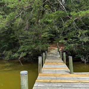 Photo #39 of 7086 LONG POINT RD, EXMORE, VA 8.5 acres