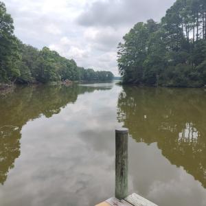 Photo #7 of 7086 LONG POINT RD, EXMORE, VA 8.5 acres