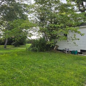 Photo #16 of 16246 MAIN RIDGE RD, TANGIER, VA 0.2 acres