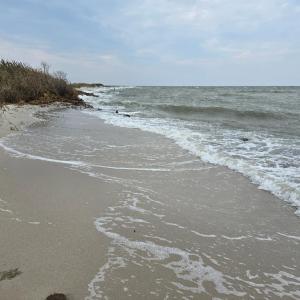 Photo #4 of 16246 MAIN RIDGE RD, TANGIER, VA 0.2 acres