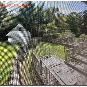 Photo #22 of 10540 TEACKLE RD, BELLE HAVEN, VA 3.5 acres