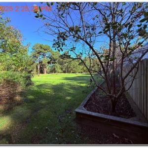 Photo #48 of 10540 TEACKLE RD, BELLE HAVEN, VA 3.5 acres