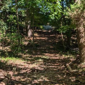 Photo #49 of 7261 HALLIDON DR, FRANKTOWN, VA 100.7 acres