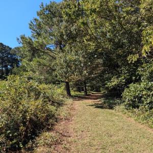 Photo #50 of 7261 HALLIDON DR, FRANKTOWN, VA 100.7 acres