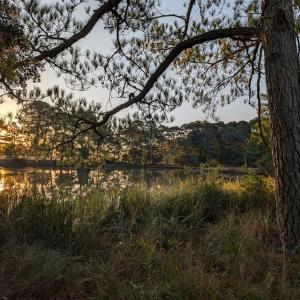 Photo #51 of 7261 HALLIDON DR, FRANKTOWN, VA 100.7 acres