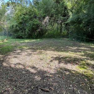 Photo #14 of 37 MAIN ST, WACHAPREAGUE, VA 0.3 acres