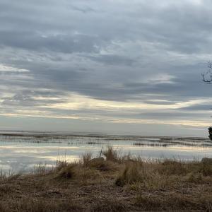 Photo #19 of 37 MAIN ST, WACHAPREAGUE, VA 0.3 acres