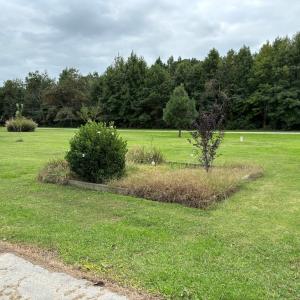 Photo #36 of 36101 UPSHUR NECK RD, QUINBY, VA 1.0 acres